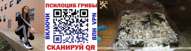 купить наркотик  Камышин  Галлюциногенные грибы мицелий 