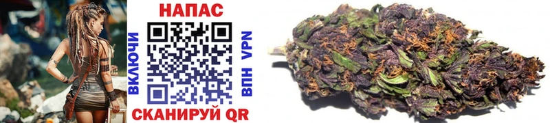 купить наркотики сайты  Камышин  Бошки Шишки OG Kush 